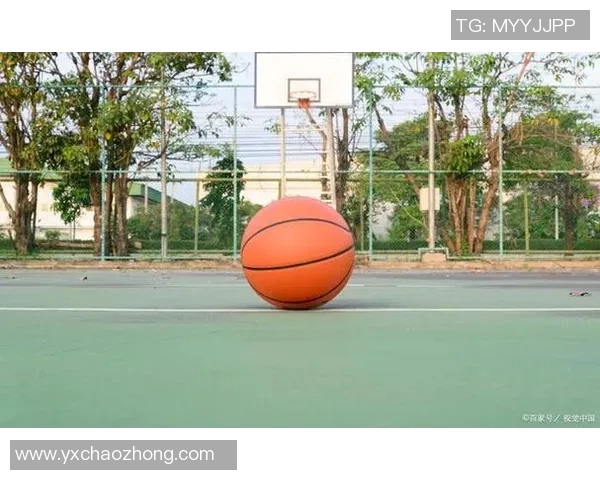 杨芳独家篮球心得分享探索技巧与心态的完美结合